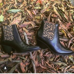 Very Volatile ALIBI bootie with leopard detail